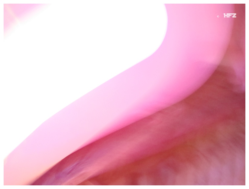 800x599 pixels (63K)